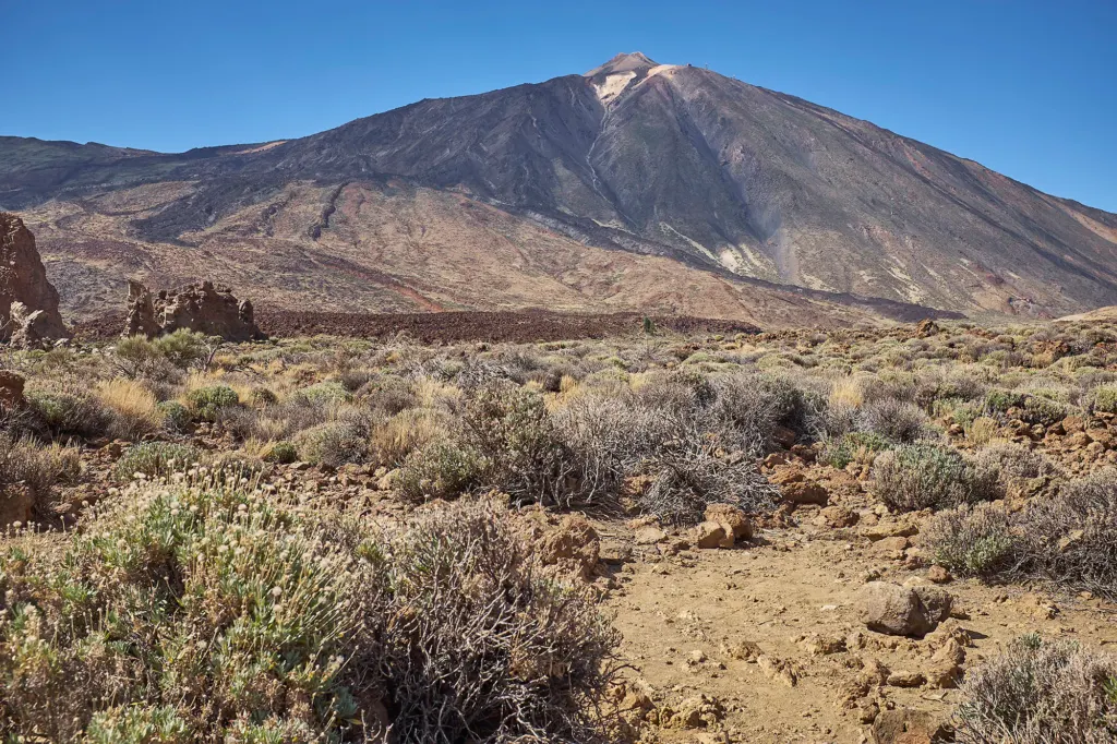 Las Canarias — landscape and travel photograph in Canary Islands, Spain, frame 8 of 28.